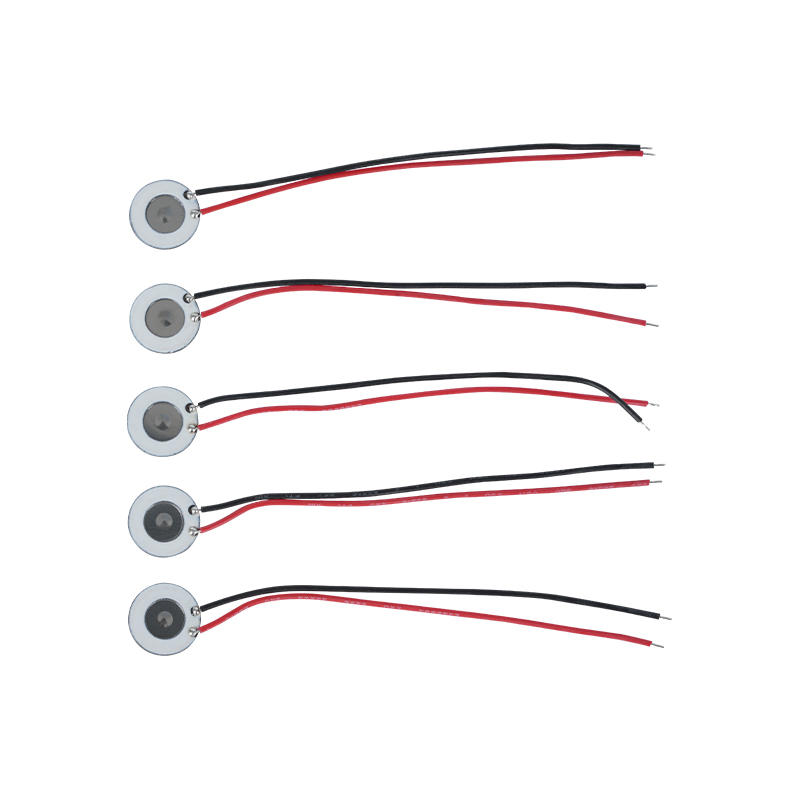 10 มม. สแตนเลส Microporous Atomizer ความงาม Hydration Instrument สเปรย์ช่องปากสเปรย์น้ำหอมความชื้นฆ่าเชื้อตาข่าย Atomizer ยังใช้กับอุปกรณ์เลิกบุหรี่อิเล็กทรอนิกส์และผลิตภัณฑ์อื่น ๆ