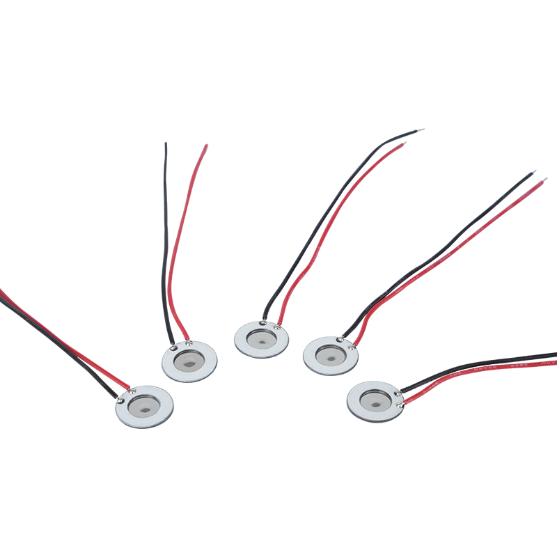 10 มม. สแตนเลส Microporous Atomizer ความงาม Hydration Instrument สเปรย์ช่องปากสเปรย์น้ำหอมความชื้นฆ่าเชื้อตาข่าย Atomizer ยังใช้กับอุปกรณ์เลิกบุหรี่อิเล็กทรอนิกส์และผลิตภัณฑ์อื่น ๆ